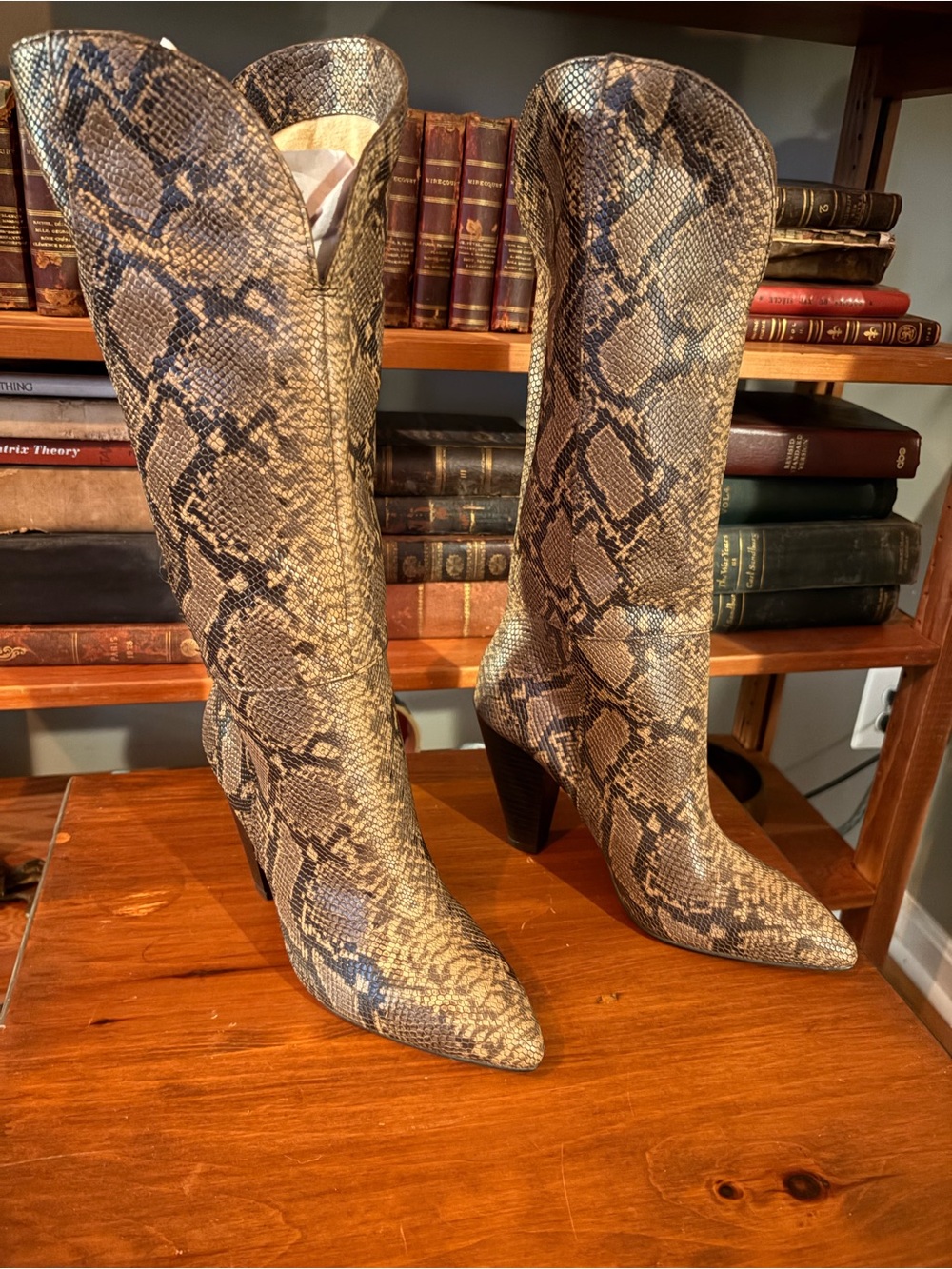 Splendid Snake-Print Pointed-Toe Knee Boots in Tan and Black